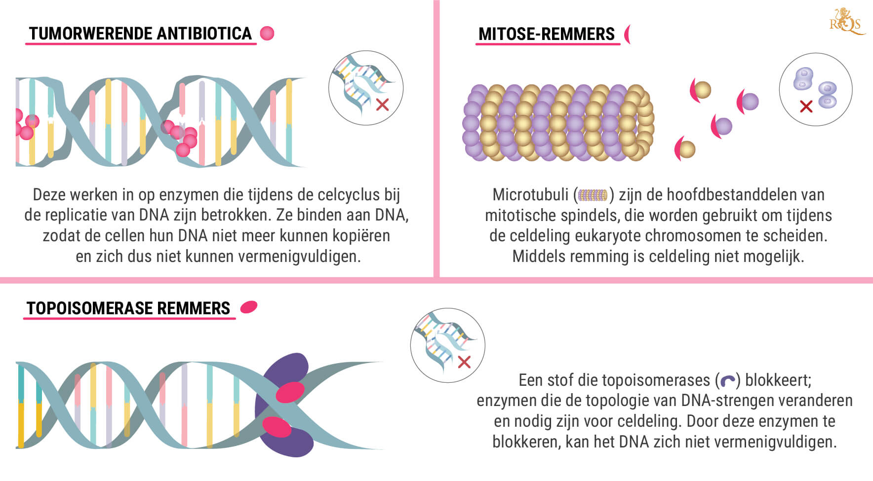 Wat Is Chemotherapie?