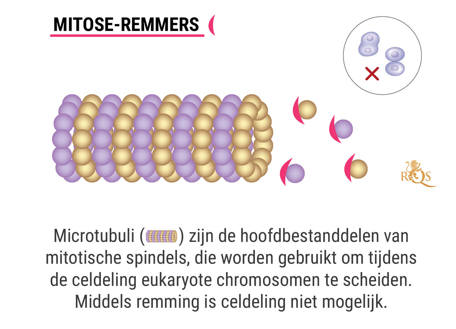 Wat Is Chemotherapie?