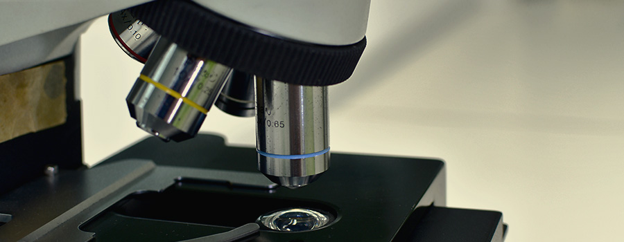 Samengestelde microscoop