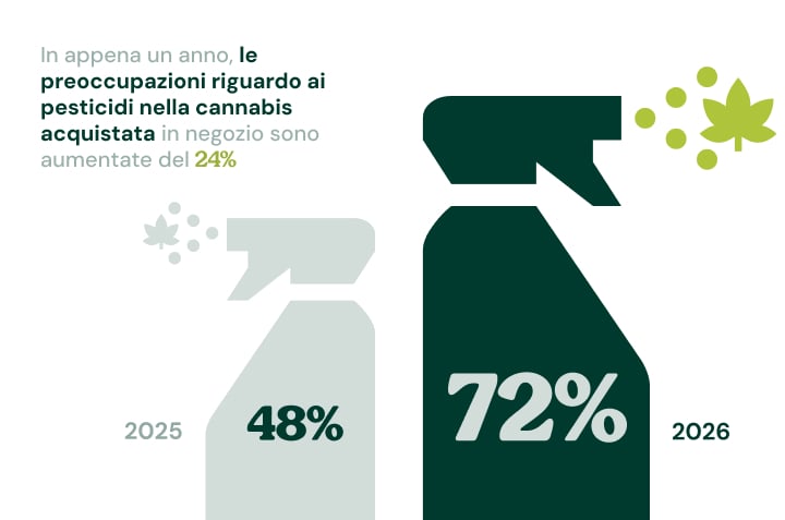 Infographic die laat zien dat de zorgen over pesticiden in in de winkel gekochte cannabis zijn gestegen van 48% in 2025 naar 72% in 2026.