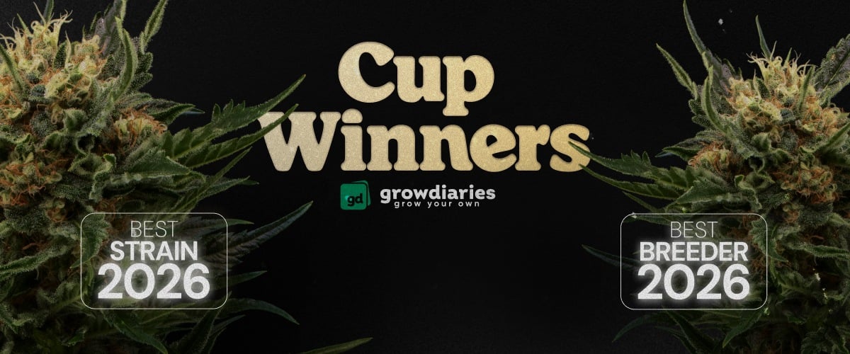 Cup Winners 2026 cannabis awards banner met beste soort en beste breeder, cannabis toppen en GrowDiaries logo
