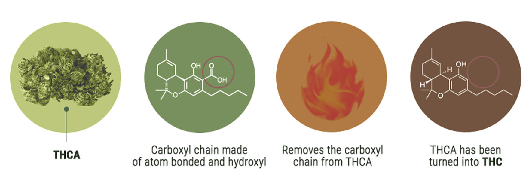 Wat Is het Verschil tussen THCV en THC?