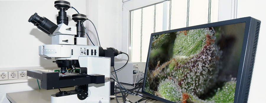Digitale microscoop