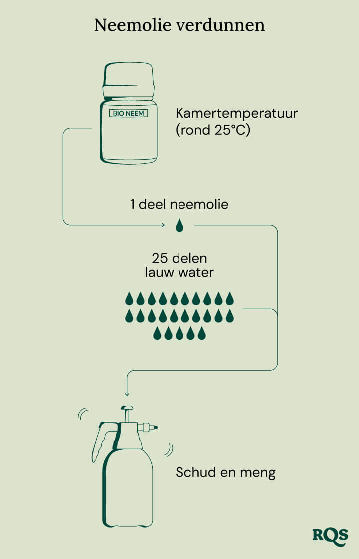 Diluting neem oil