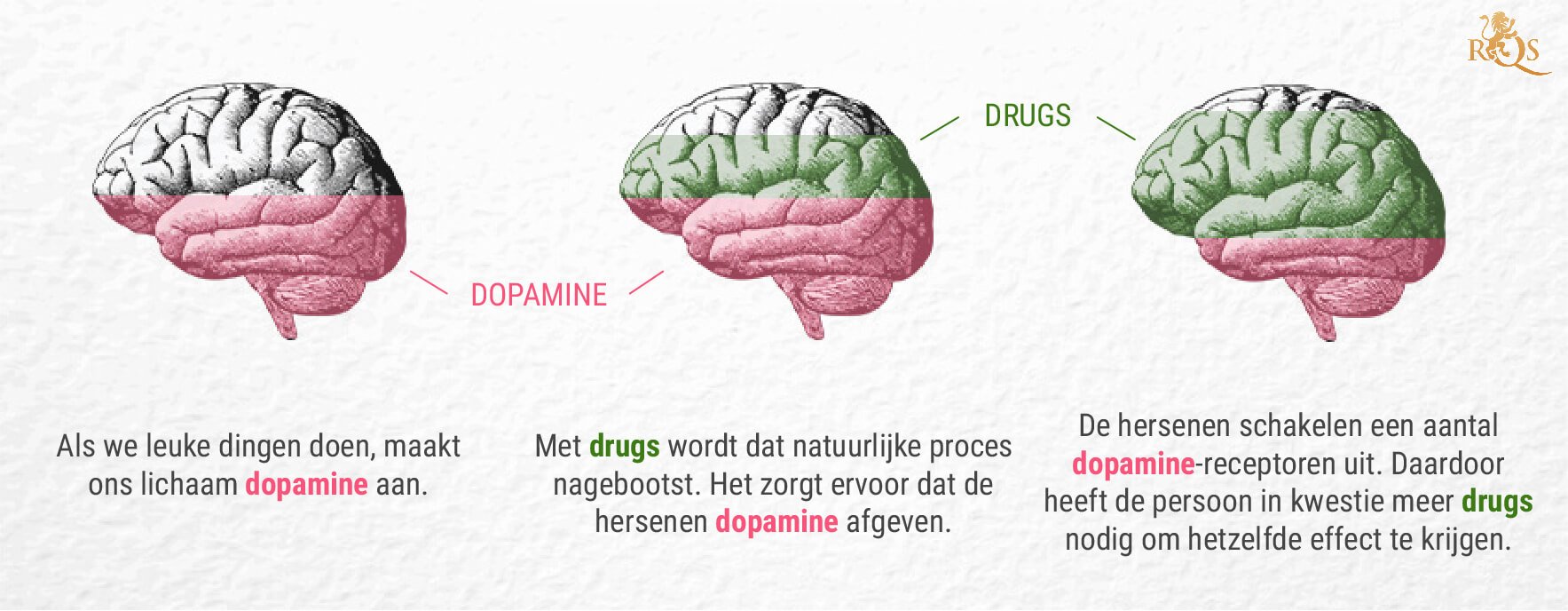 Wat is de link tussen wiet en dopamine?