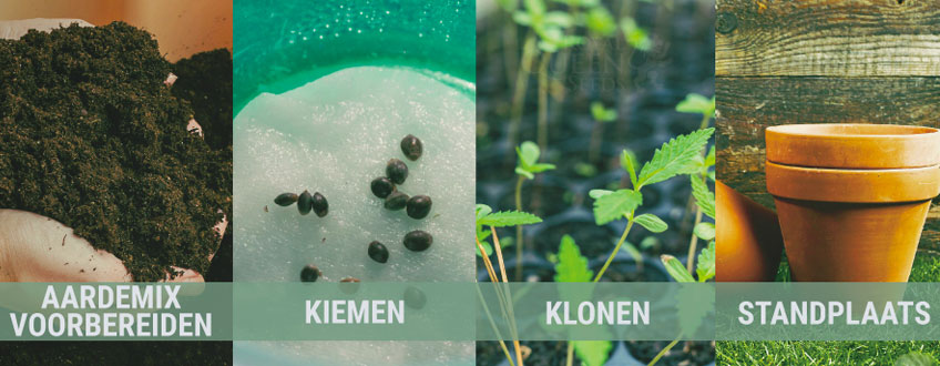 LENTE