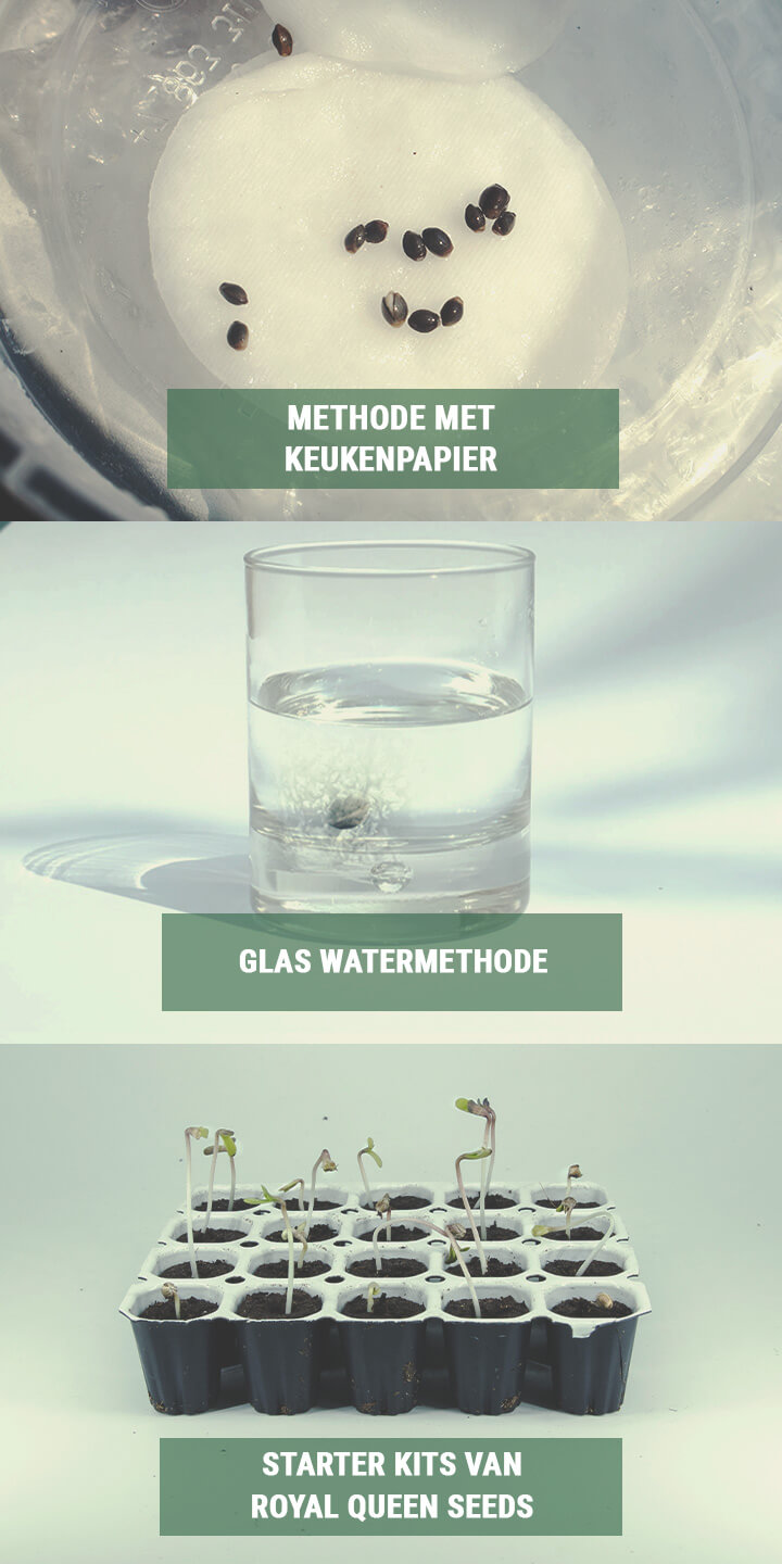 STAP 2: GEBRUIK DE JUISTE KIEMINGSTECHNIEKEN STAP 2: GEBRUIK DE JUISTE KIEMINGSTECHNIEKEN