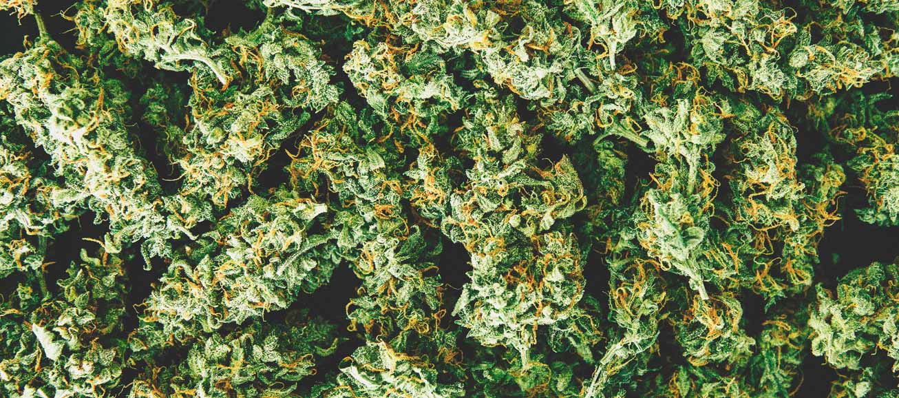 How To Detect A Moldy Weed When You’re Buying How To Detect A Moldy Weed When You’re Buying