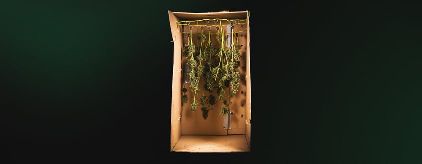 Harvest Time Harvest Time