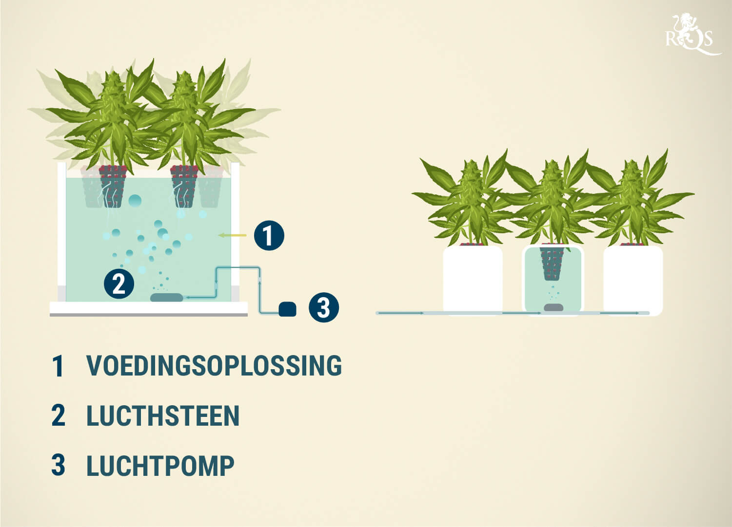 Diepwatercultuur (DWC)