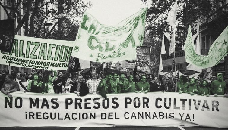 Criticism of Argentina's Cannabis Law
