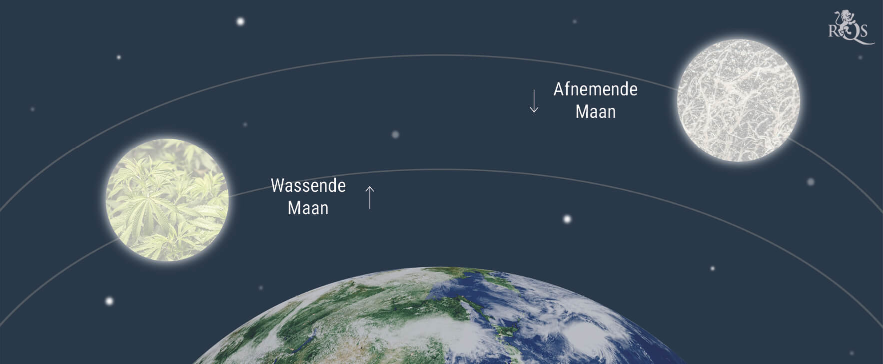 De Invloed van de Maan op het Kweken van Wiet De Invloed van de Maan op het Kweken van Wiet