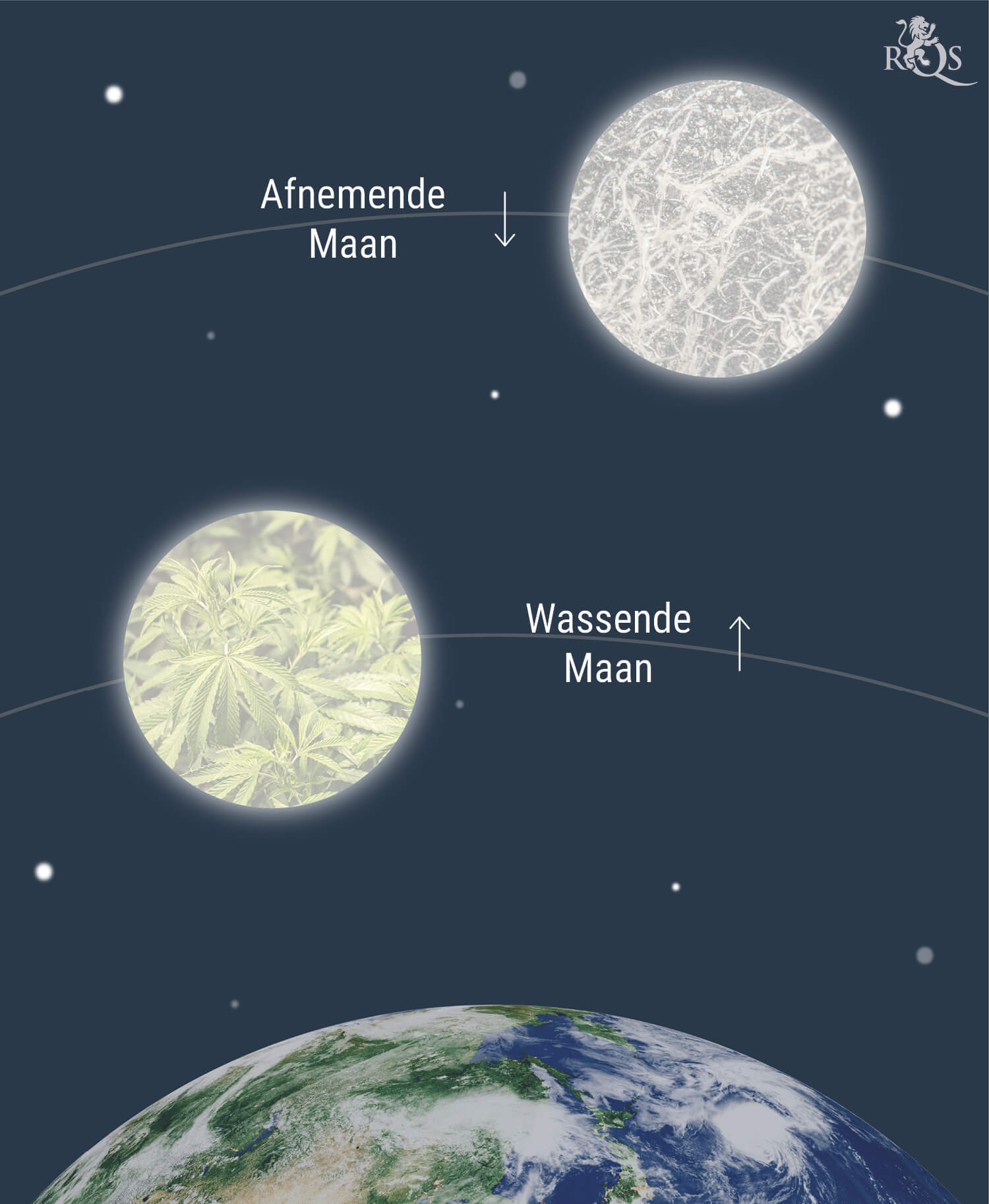 De Invloed van de Maan op het Kweken van Wiet De Invloed van de Maan op het Kweken van Wiet