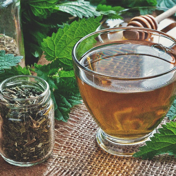 Biologische cannabisvoeding en plantverzorgingsproducten Biologische cannabisvoeding en plantverzorgingsproducten