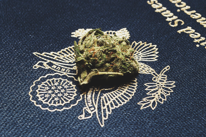 Growing Cannabis In The US Growing Cannabis In The US