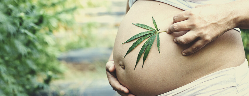 Cannabis en CBD tijdens de zwangerschap Cannabis en CBD tijdens de zwangerschap