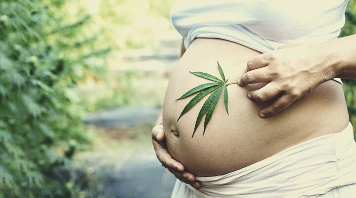 Cannabis en CBD tijdens de zwangerschap Cannabis en CBD tijdens de zwangerschap