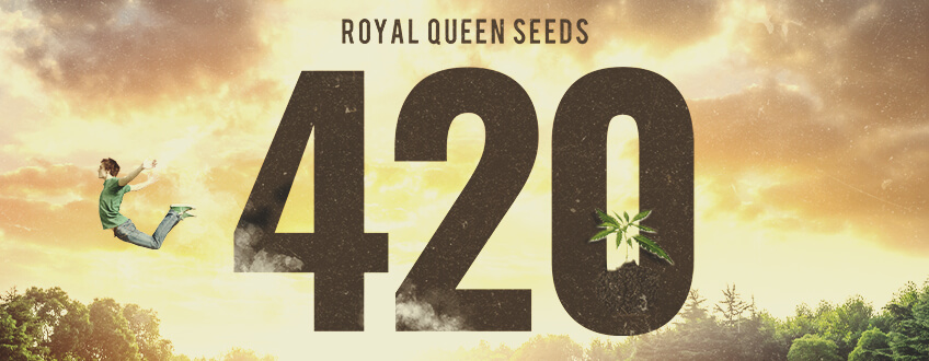 420 bij Royal Queen Seeds