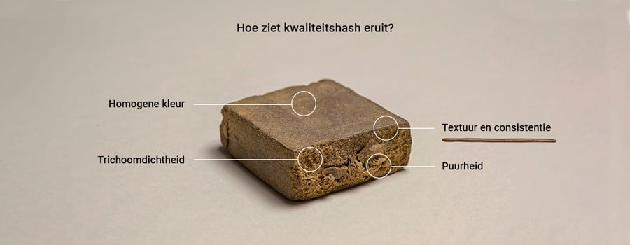 quality-hash-desktop-NL