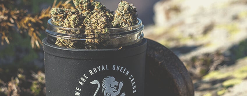 RQS STASH JAR