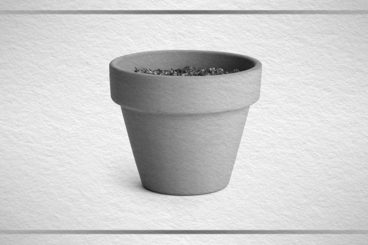 Regular Pot Regular Pot