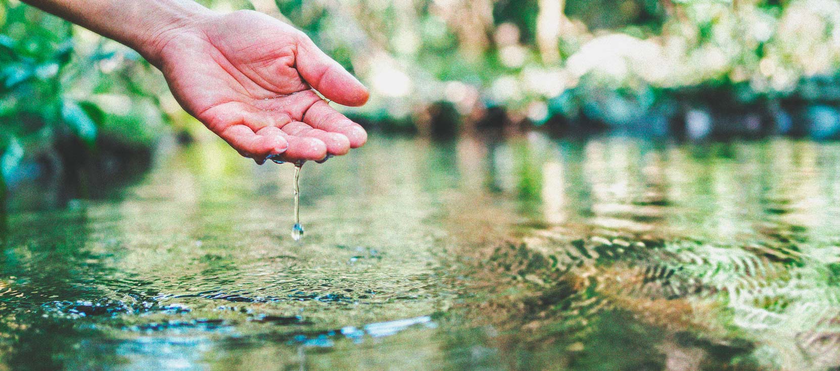 Wiet en waterkwaliteit deel 3: kies je waterbron Wiet en waterkwaliteit deel 3: kies je waterbron