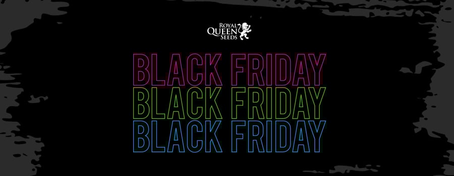Royal Queen Seeds Black Friday 2020