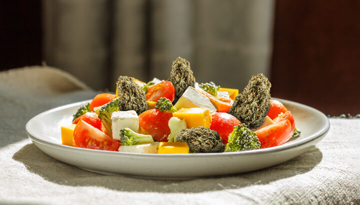 Healthy Munchies - Salad