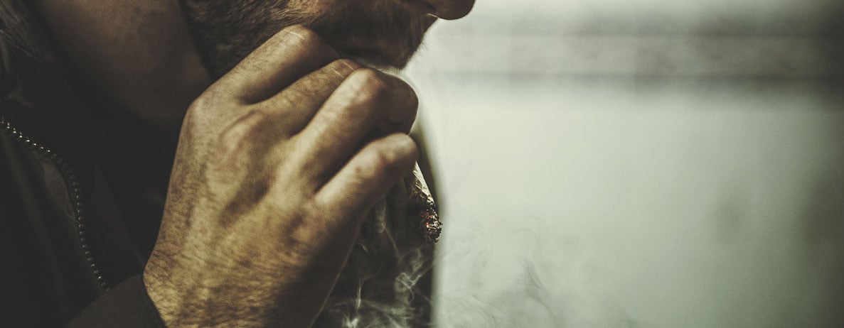 Hoe Cannabis door het Lichaam Wordt Afgebroken Hoe Cannabis door het Lichaam Wordt Afgebroken