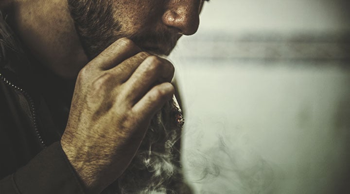 Hoe Cannabis door het Lichaam Wordt Afgebroken Hoe Cannabis door het Lichaam Wordt Afgebroken