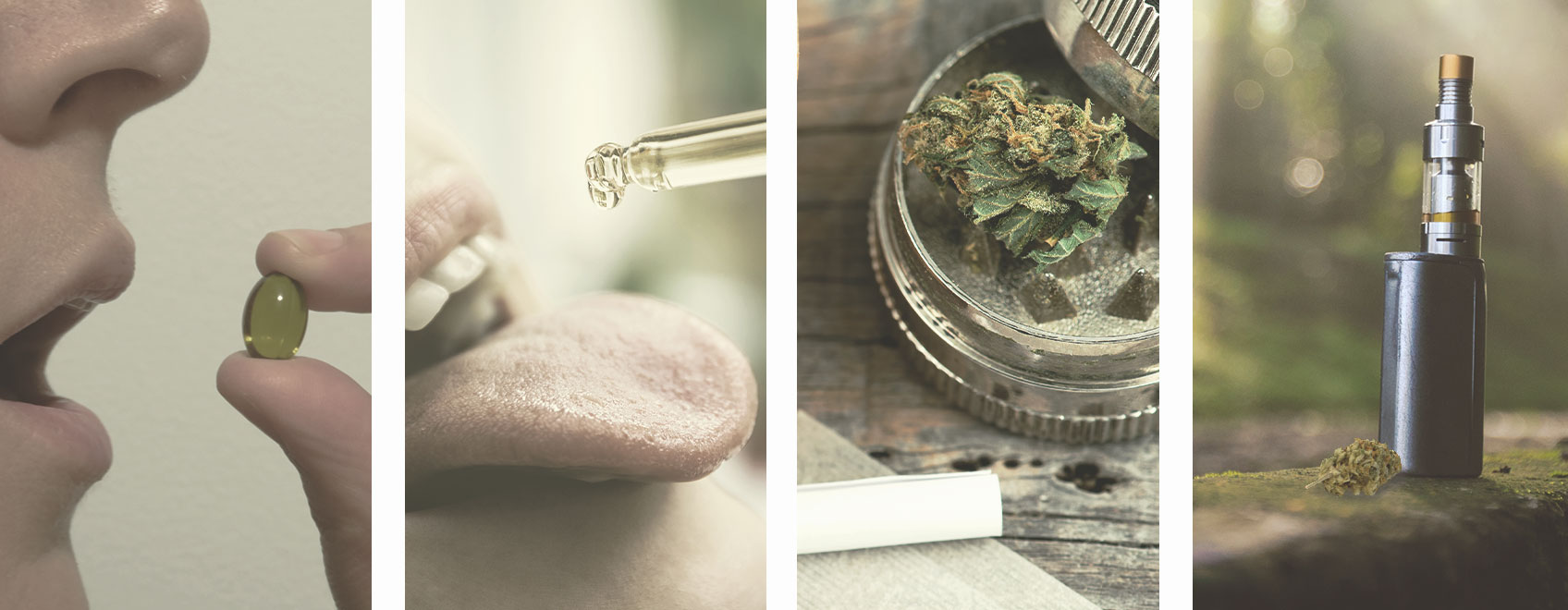 Hoe Werkt Microdosing van CBD? Hoe Werkt Microdosing van CBD?