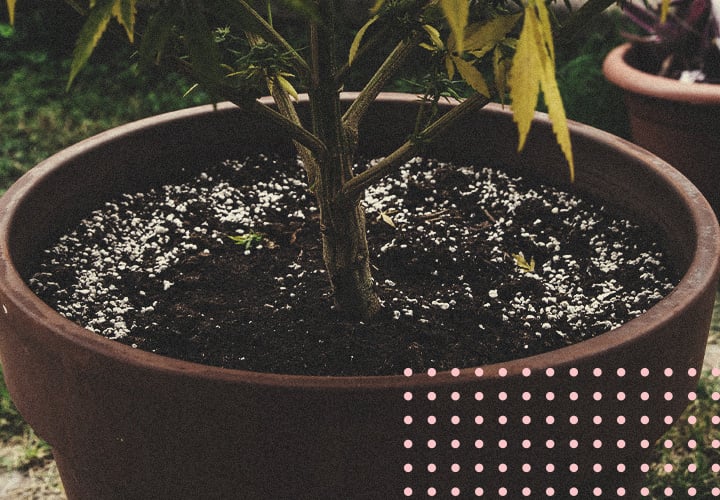 Hoe Bespaar Je Geld Met Hergebruik Van Oude Grond? Hoe Bespaar Je Geld Met Hergebruik Van Oude Grond?