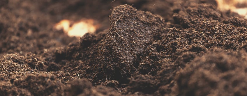 Soil