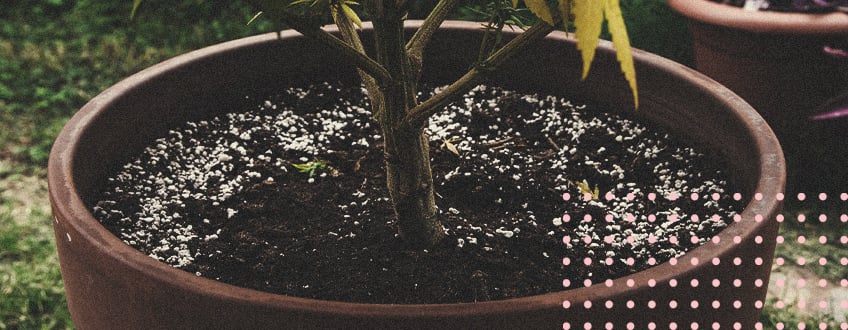 Hoe Bespaar Je Geld Met Hergebruik Van Oude Grond? Hoe Bespaar Je Geld Met Hergebruik Van Oude Grond?