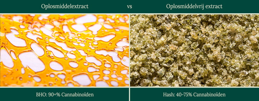 Solvent vs solventless 2