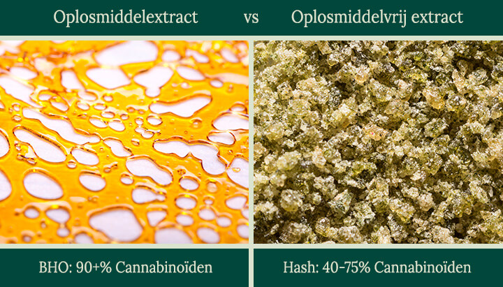 Solvent vs solventless 2