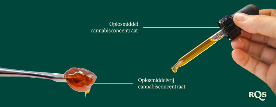 Solvent vs solventless