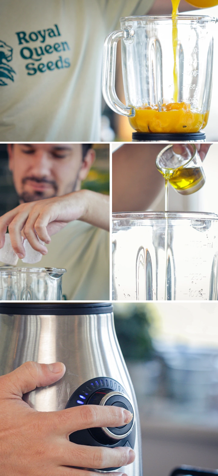 Het toevoegen van gesneden mango, munt, ijsblokjes, cannabis-MCT-olie en lecithine aan de blenderkan vóór het mengen.