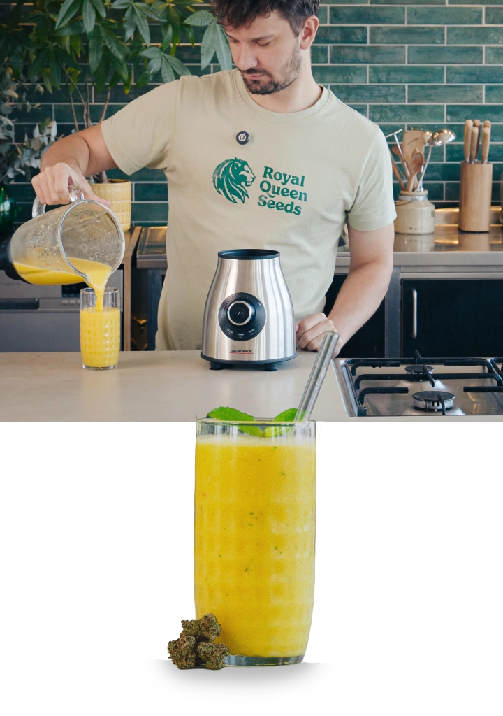 Het blenden van een mango-cannabissmoothie en het inschenken van de afgewerkte drank in een glas met een gladde, romige textuur.