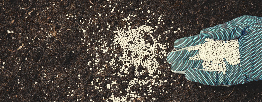 Natuurlijk kweken: is biologische wiet beter? Natuurlijk kweken: is biologische wiet beter?