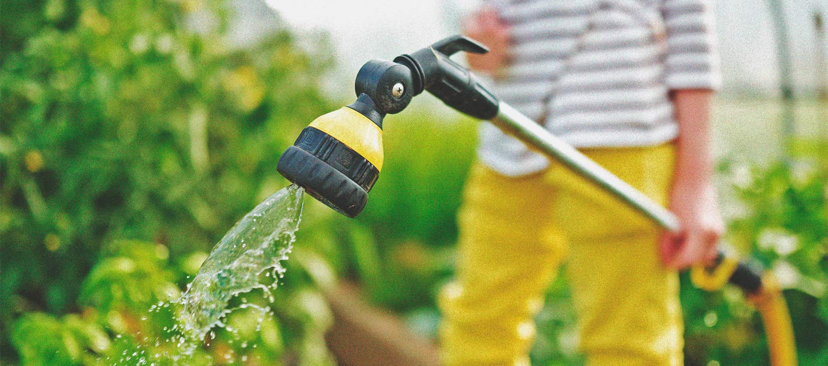 Wiet en waterkwaliteit deel 3: kies je waterbron Wiet en waterkwaliteit deel 3: kies je waterbron