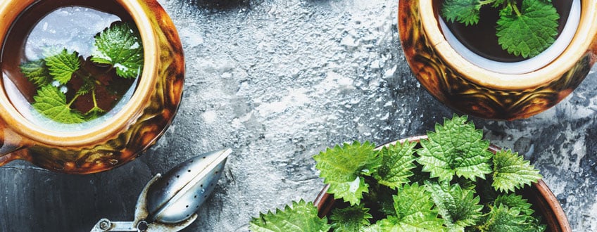 Stinging Nettle Tea