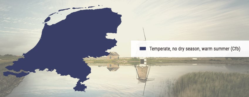 WIET KWEKEN IN NEDERLAND