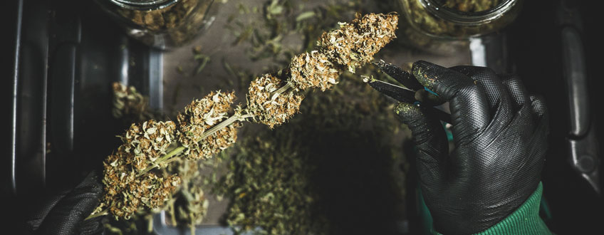 Trimming Trimming
