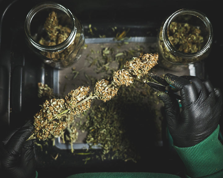 Trimming Trimming