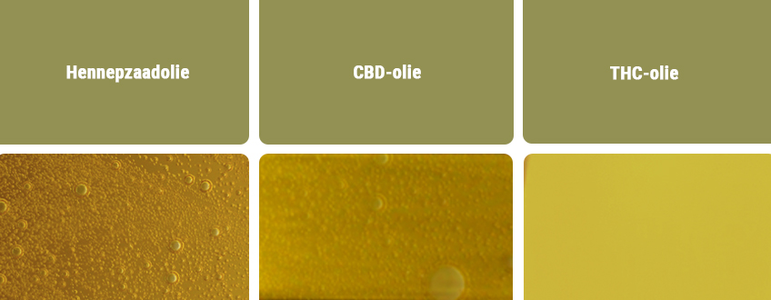 CBD-olie versus Andere Typen Oliën