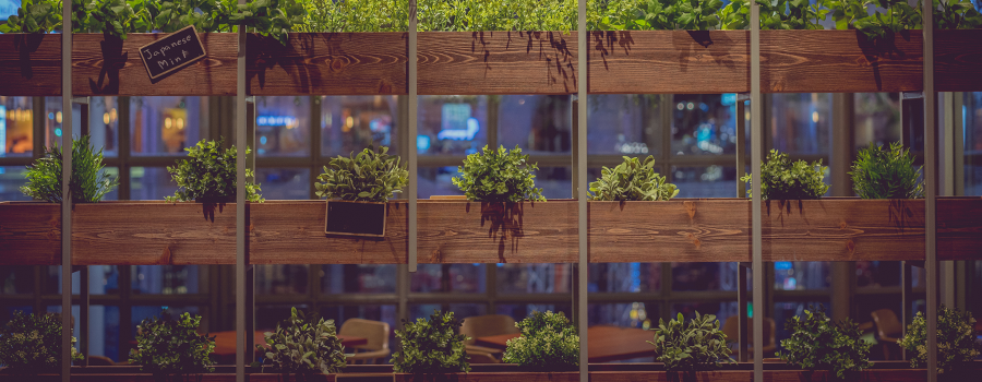 Vertical Farming
