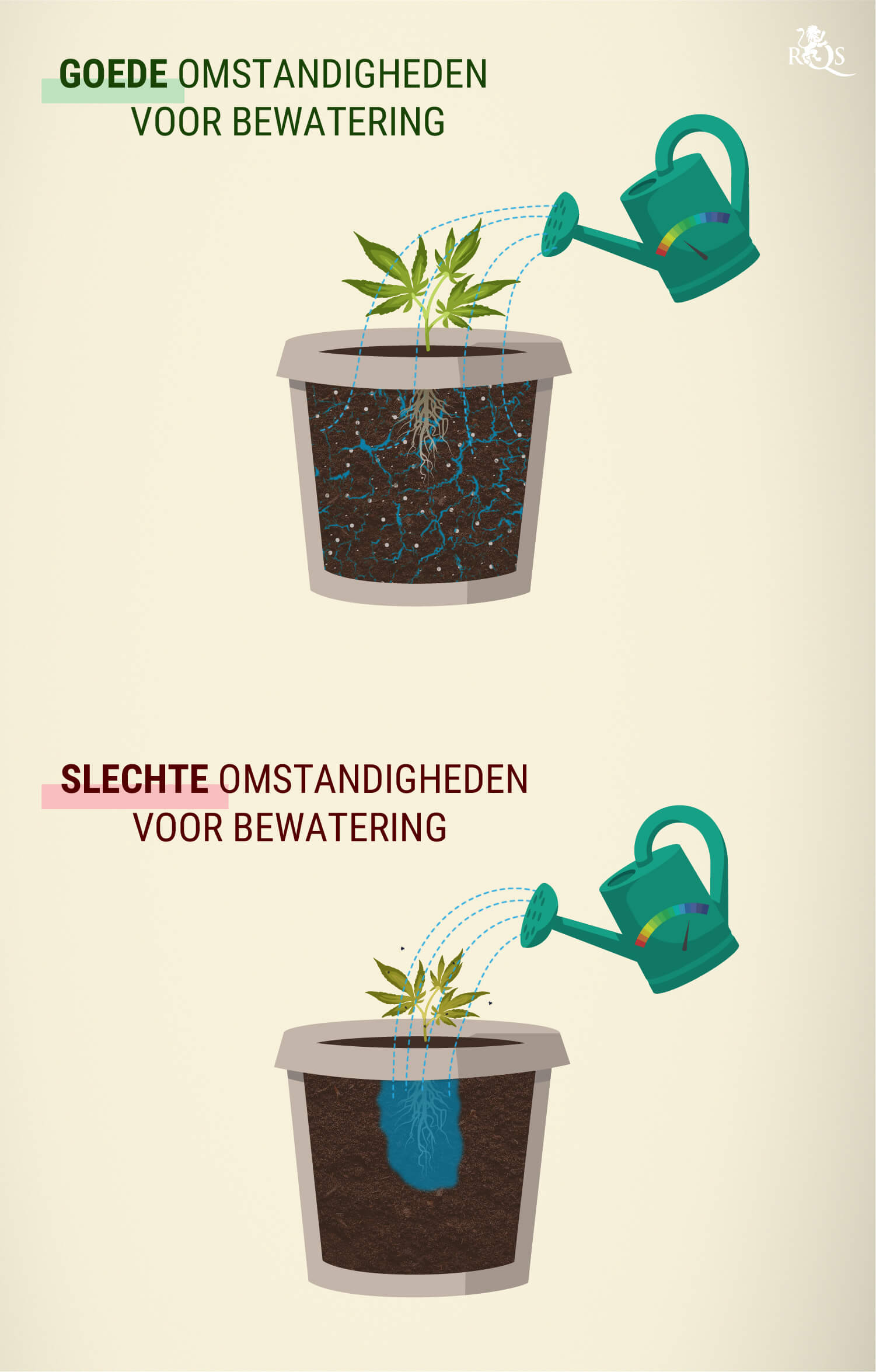 Hoeveel water hebben cannabisplanten nodig?