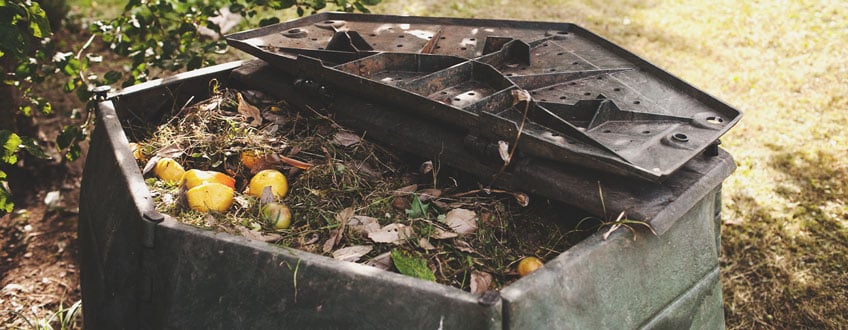 Compost Bin