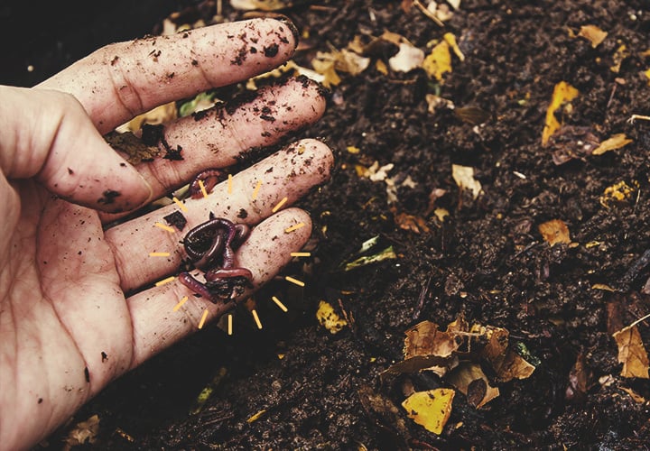 Hoe Bespaar Je Geld Met Hergebruik Van Oude Grond? Hoe Bespaar Je Geld Met Hergebruik Van Oude Grond?